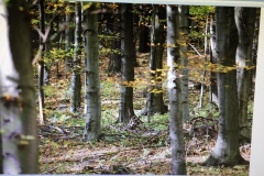 Autor - Emilia Kolarczyk