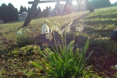 Autor - Kacper Marszalik