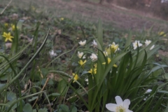 Autor - Kacper Zając