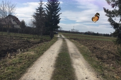 Autor - Magdalena Góra