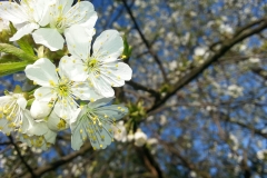 Autor - Natalia Płachta