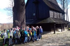 received_2290648721177783